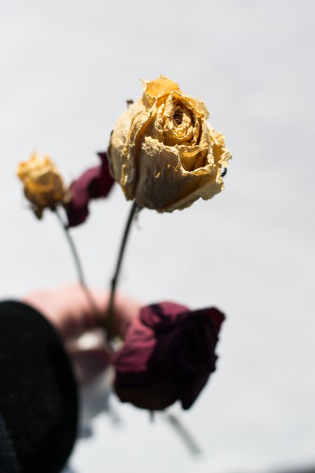 grave flowers