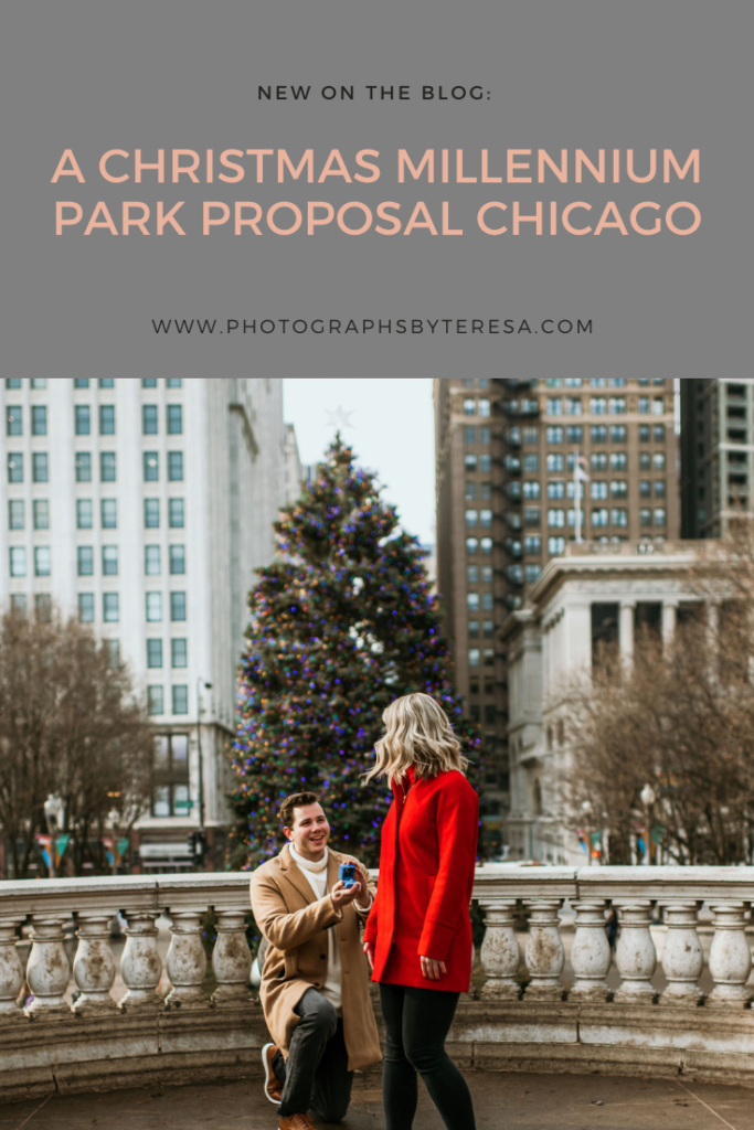 Millennium Park, Chicago, Illinois proposal Photographs by Teresa. This blog post includes outfit ideas for an outdoor couples session, emotional proposal photos and posing inspiration for an engagement session. Book your Chicago proposal and engagement session and browse the blog for inspiration #engagement #photography #engagementphotography #chicagophotographer #proposal